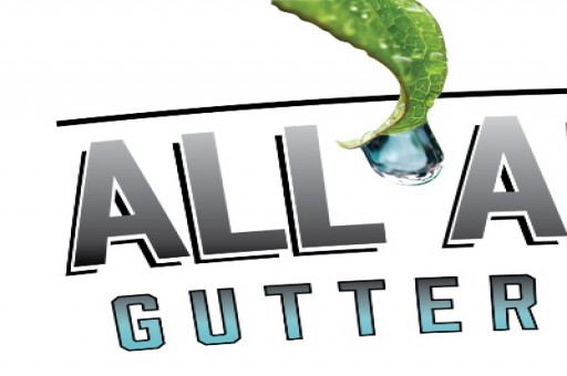 All American Gutter Protection - Other